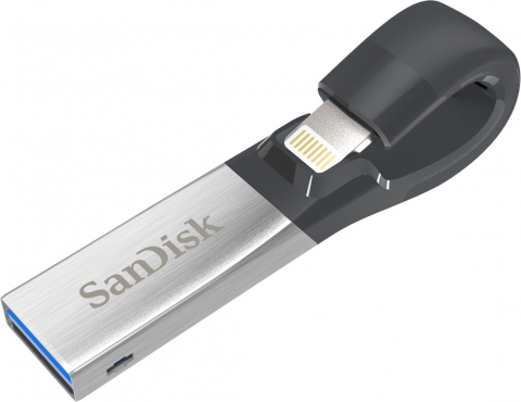 Флешка Sandisk  iXpand 128GB (SDIX30C-128G-GN6NE)