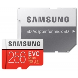 Карта памяти Samsung microSDXC 256GB EVO PLUS UHS-I (R100, W90MB/s)